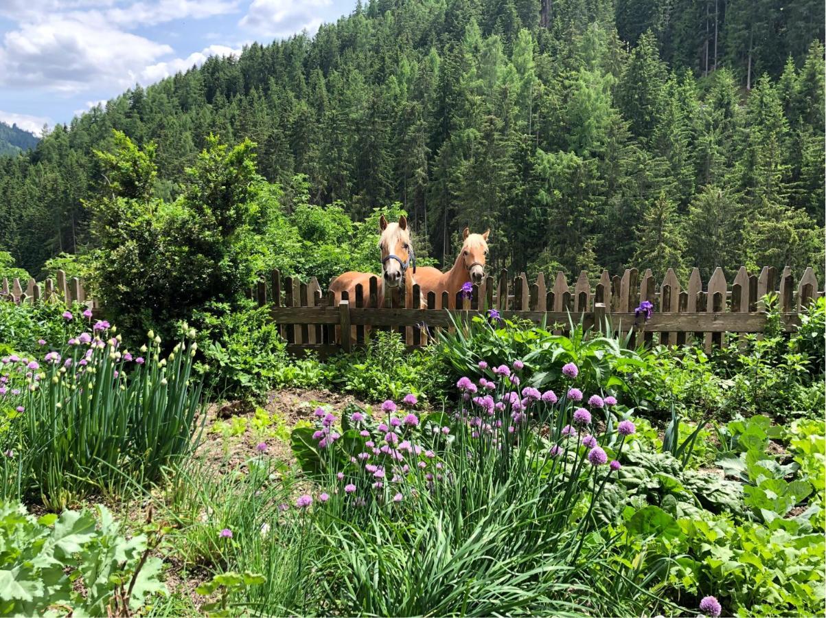 Thalerhof Daire San Lorenzo di Sebato Dış mekan fotoğraf