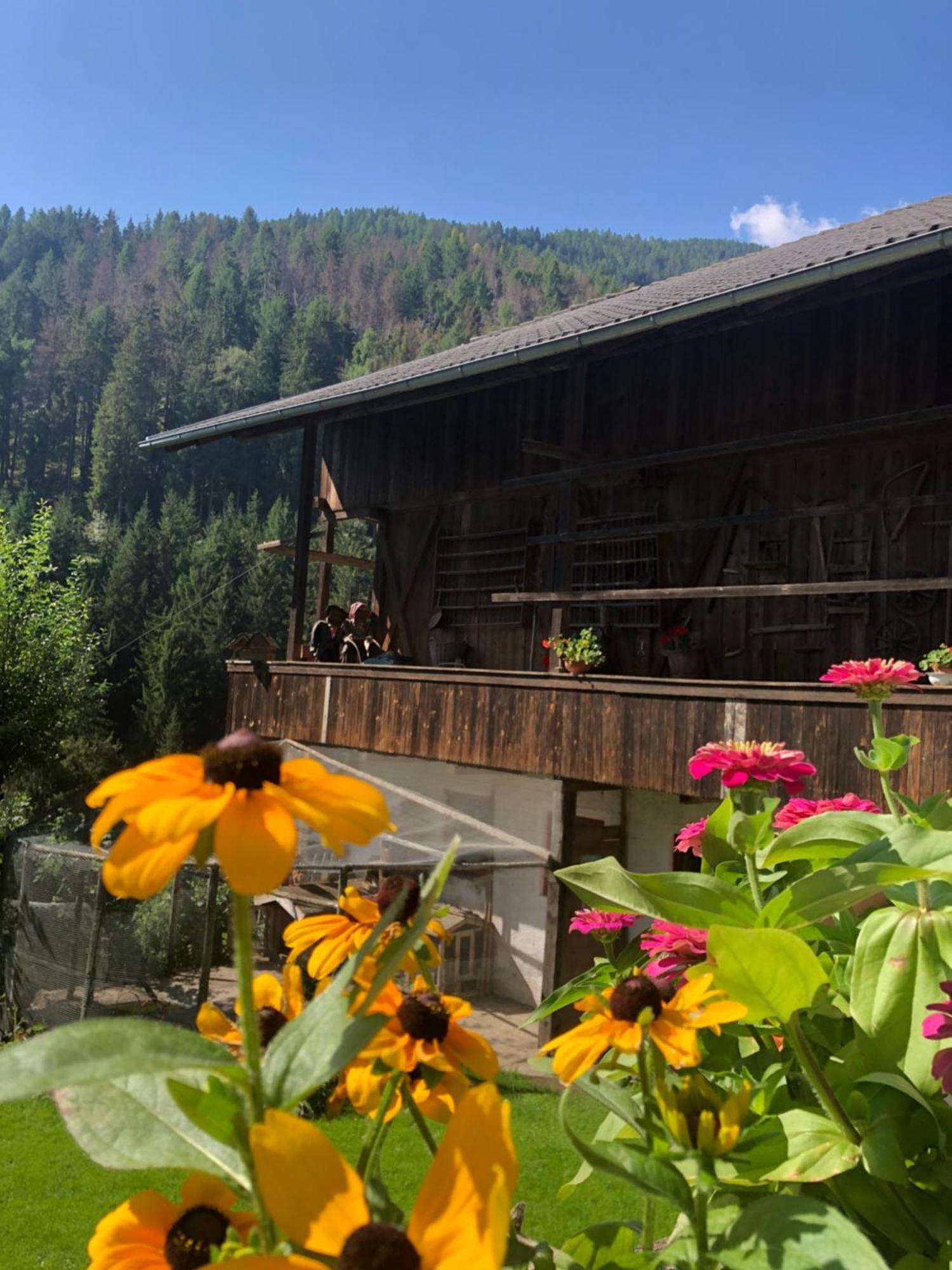 Thalerhof Daire San Lorenzo di Sebato Dış mekan fotoğraf
