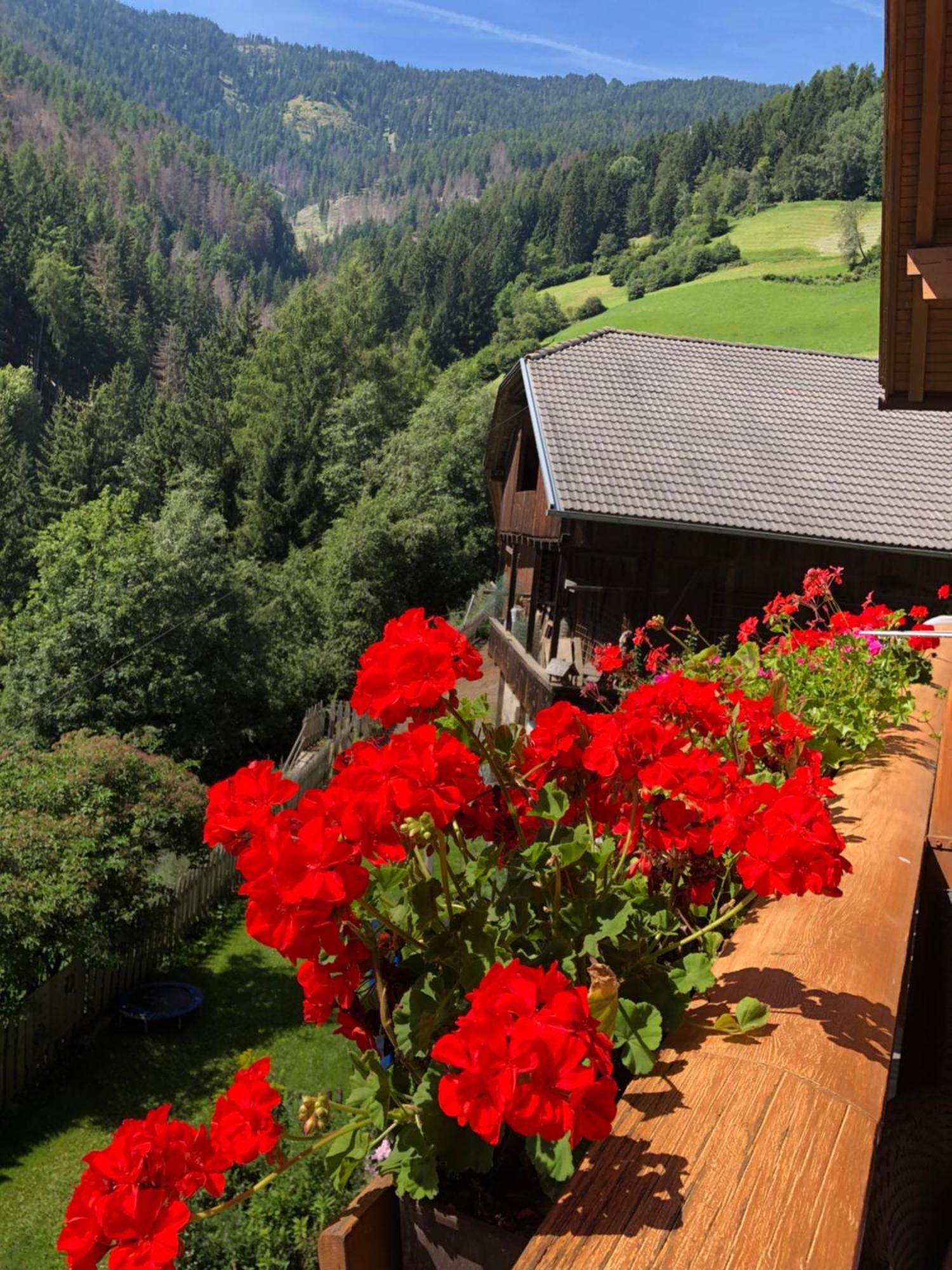 Thalerhof Daire San Lorenzo di Sebato Dış mekan fotoğraf