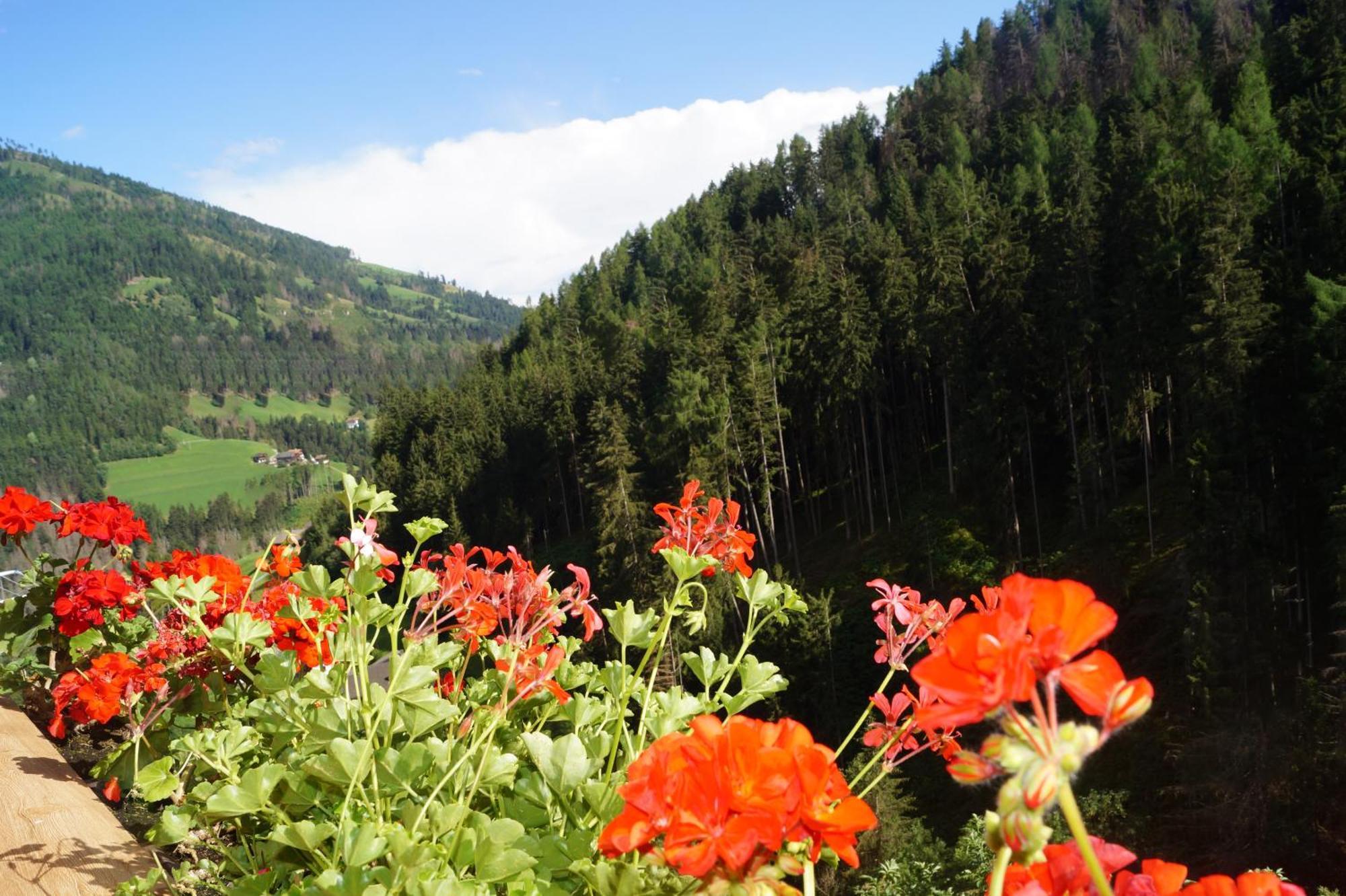 Thalerhof Daire San Lorenzo di Sebato Dış mekan fotoğraf
