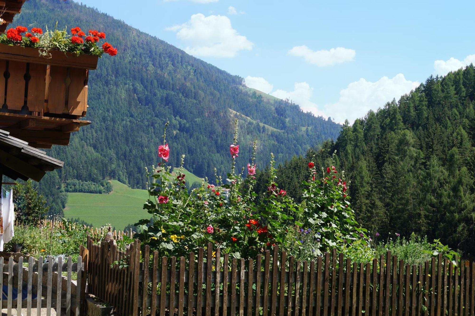 Thalerhof Daire San Lorenzo di Sebato Dış mekan fotoğraf