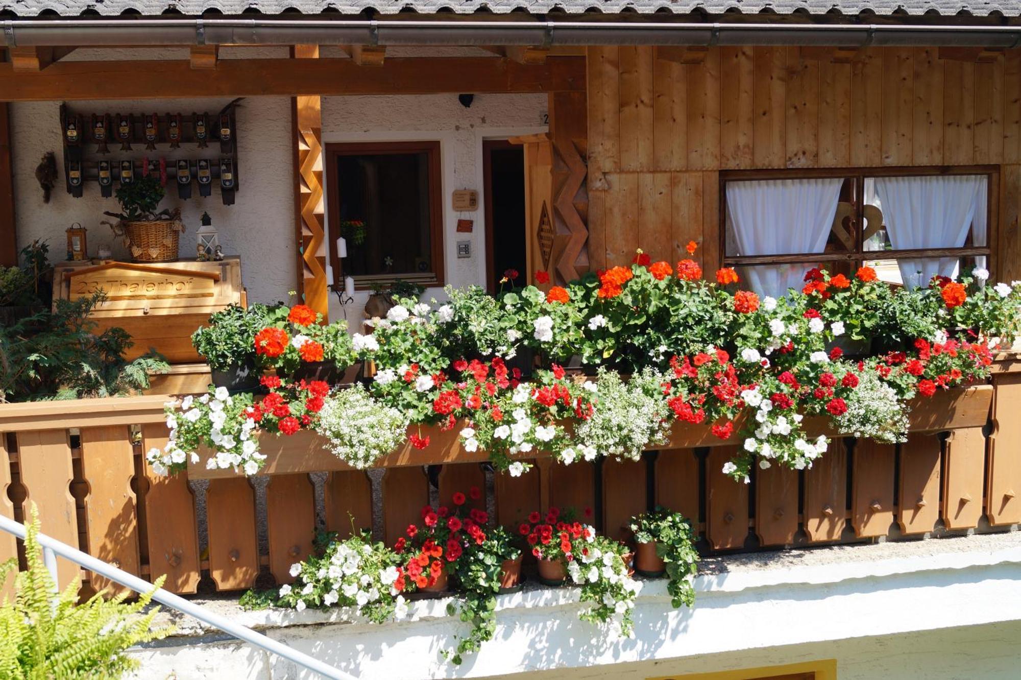 Thalerhof Daire San Lorenzo di Sebato Dış mekan fotoğraf
